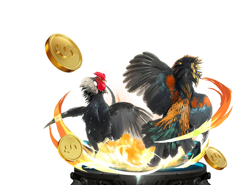 Cá cược đá gà 18win1