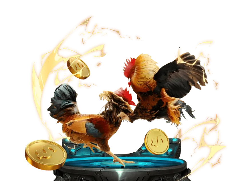 Biểu đồ tỷ lệ cược trực tiếp